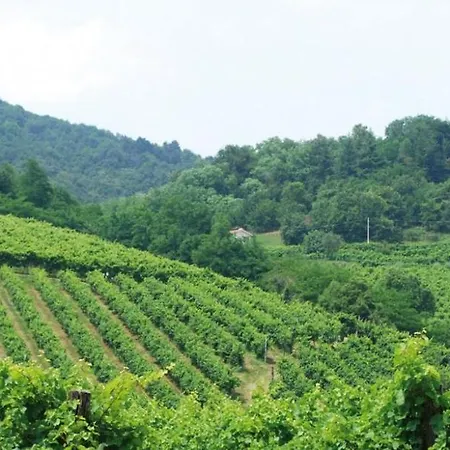 Apartament Grappaland *