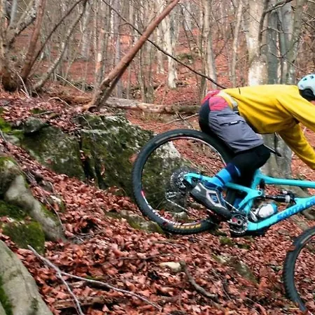 Grappaland Crespano del Grappa