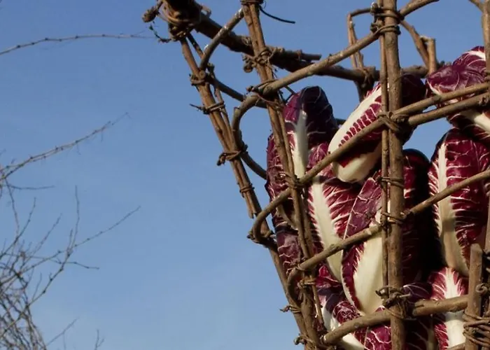 Grappaland Crespano del Grappa