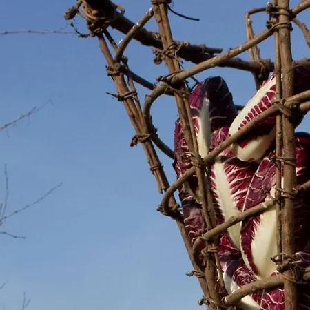 Grappaland Crespano del Grappa