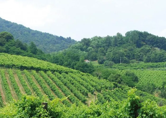 Διαμέρισμα Grappaland *