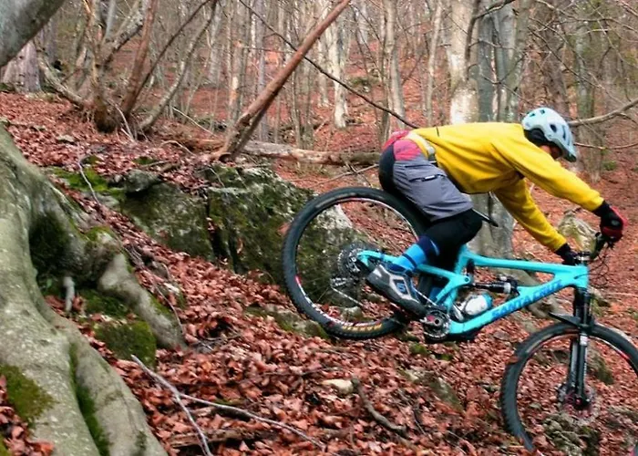 Grappaland Crespano del Grappa